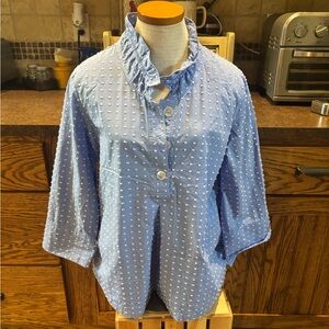 🌹Appleseed's Blue Textured Button-Up Top